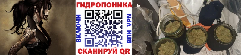 Как найти наркотики Лобня Канабис  Мефедрон  Кодеин  ГАШ 