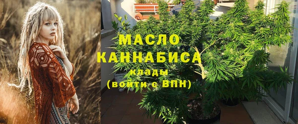 СК Алексин
