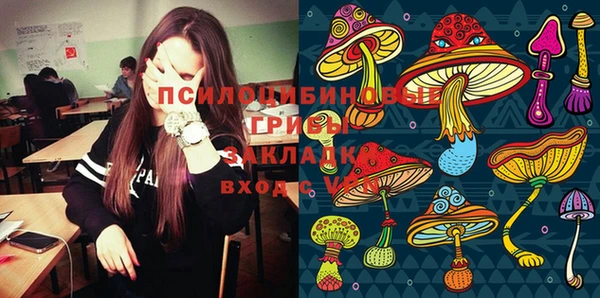 СК Алексин