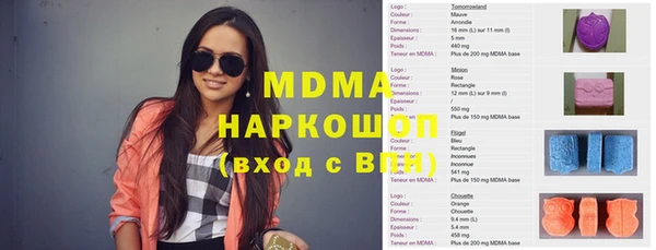 СК Алексин