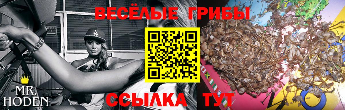 Лобня  Галлюциногенные грибы MAGIC MUSHROOMS  Вход с VPN 